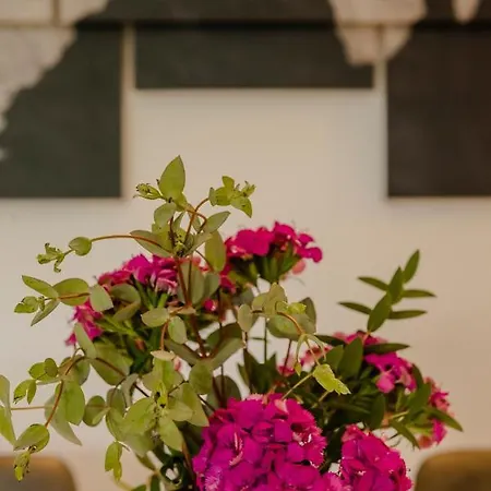 Residenza Eres Eur Roma